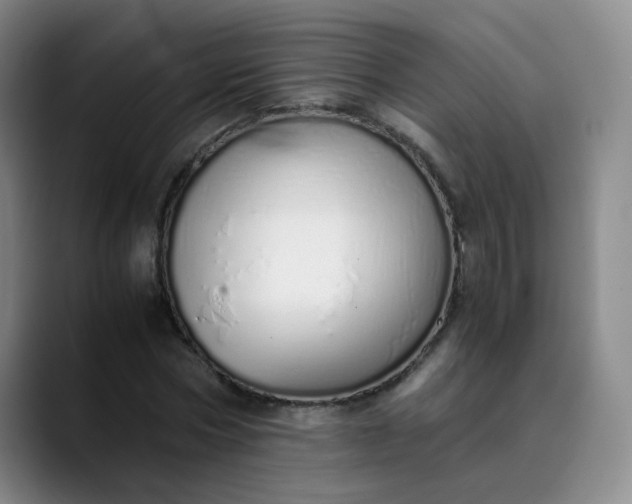 X0000089890778200707121830