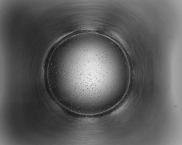 X0000089890779200707121830