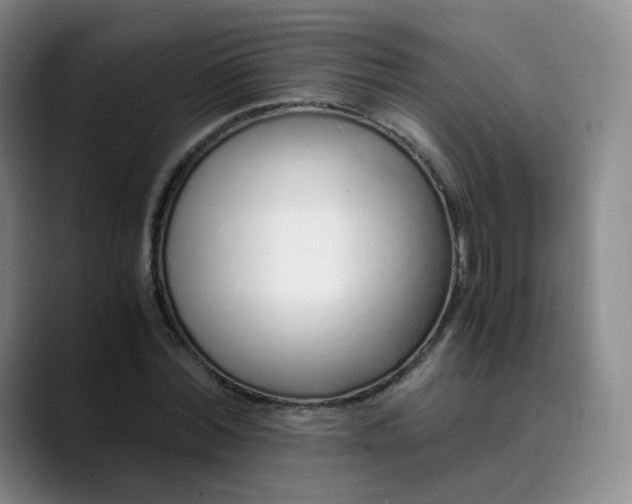 X0000089890780200707121830