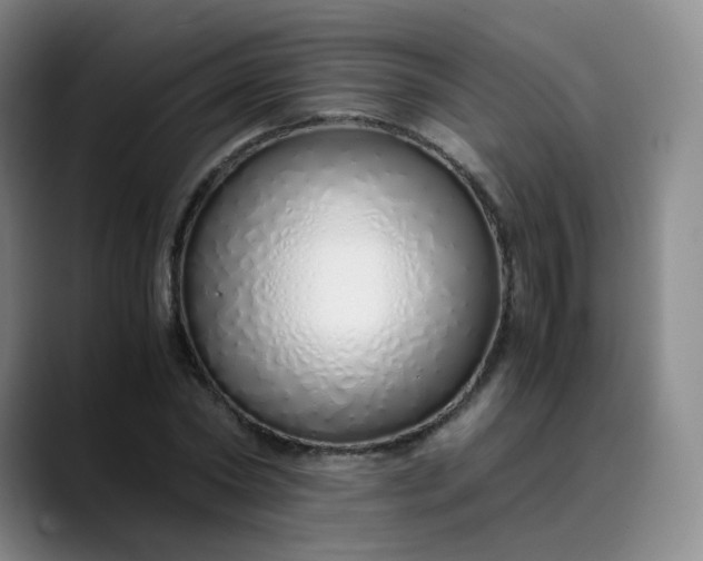 X0000089890782200707121830