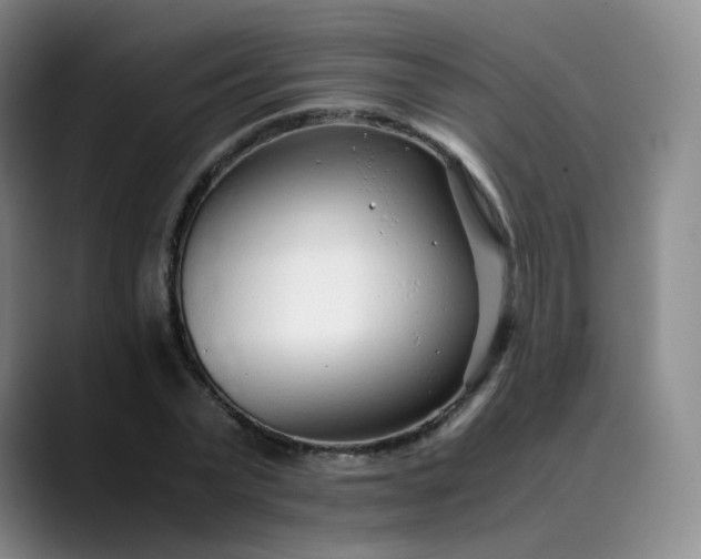 X0000089890783200707121830