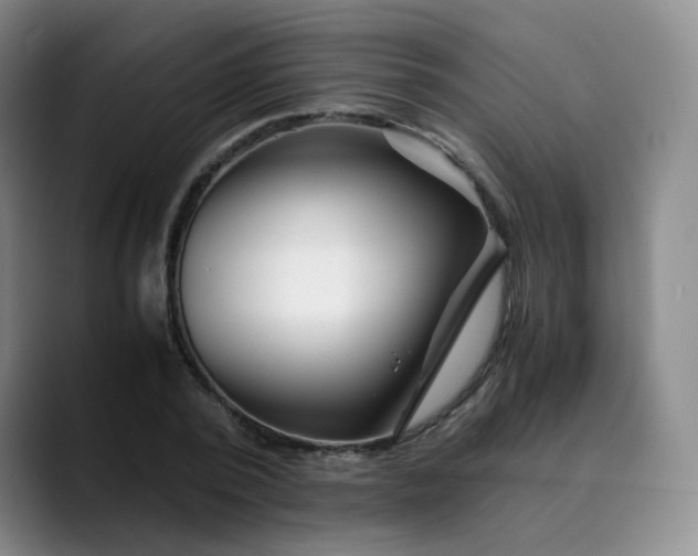 X0000089890784200707121830