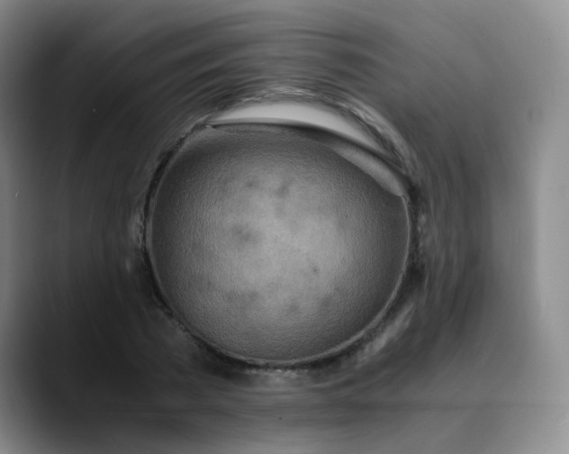 X0000089890785200707121830