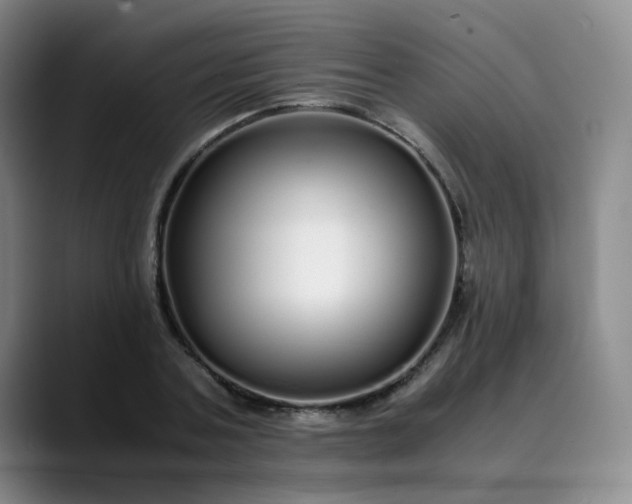 X0000089890787200707121830