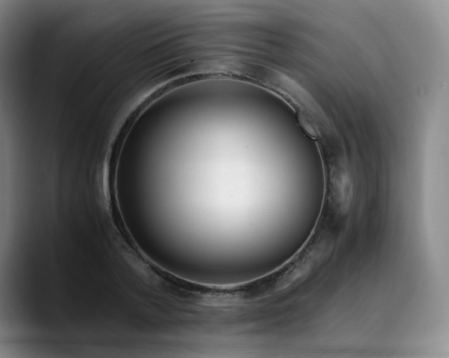 X0000089890788200707121830