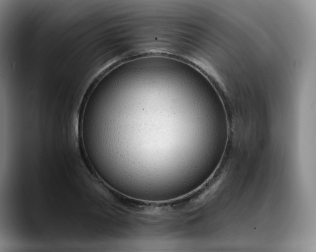 X0000089890790200707121830