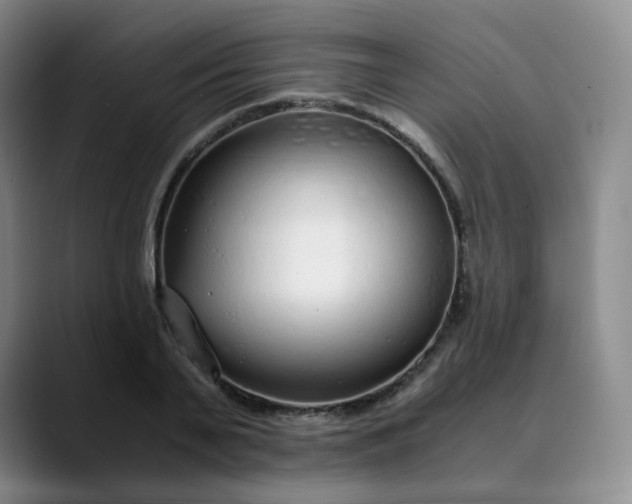 X0000089890791200707121830