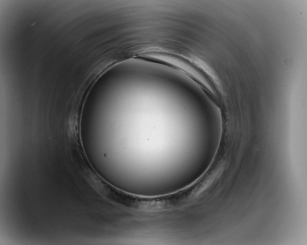 X0000089890793200707121830