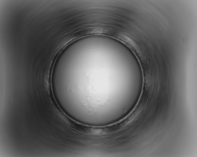 X0000089890794200707121830