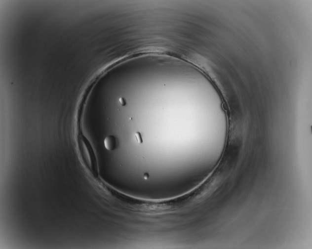 X0000089890795200707121830