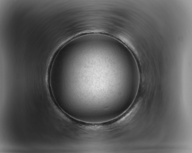 X0000089890797200707121830