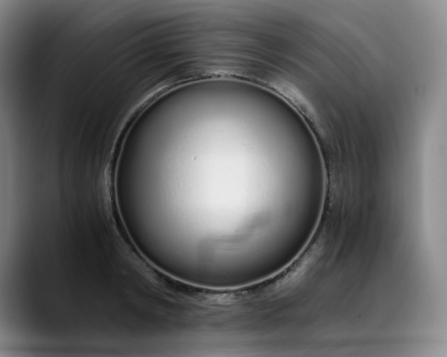 X0000089890798200707121830