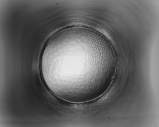 X0000089890799200707121830