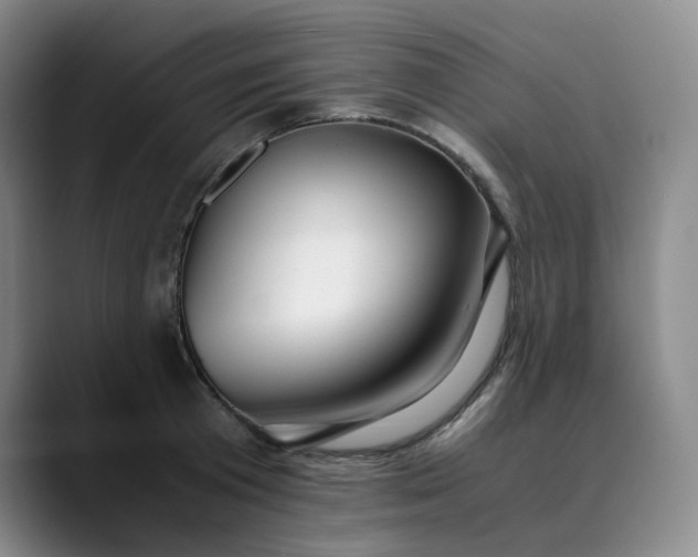 X0000089890801200707121830