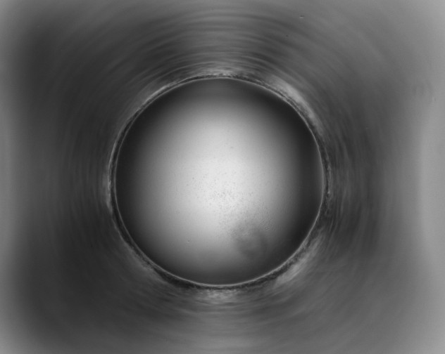 X0000089890802200707121830