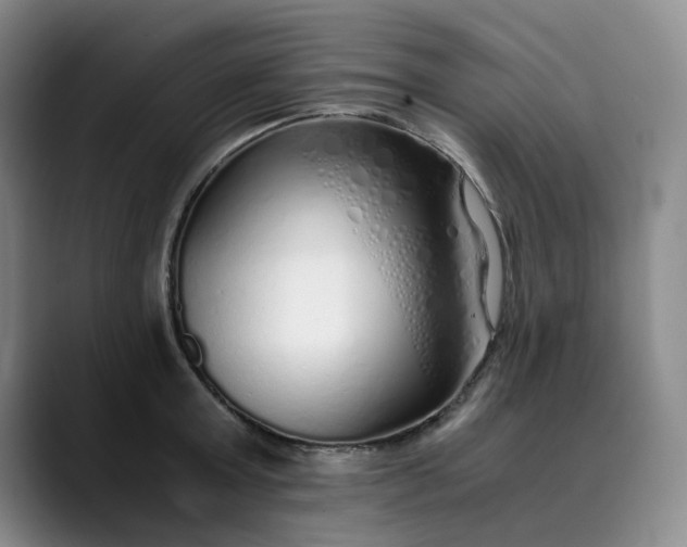 X0000089890803200707121830