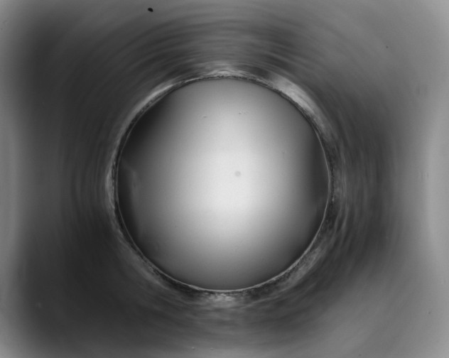 X0000089890806200707121830