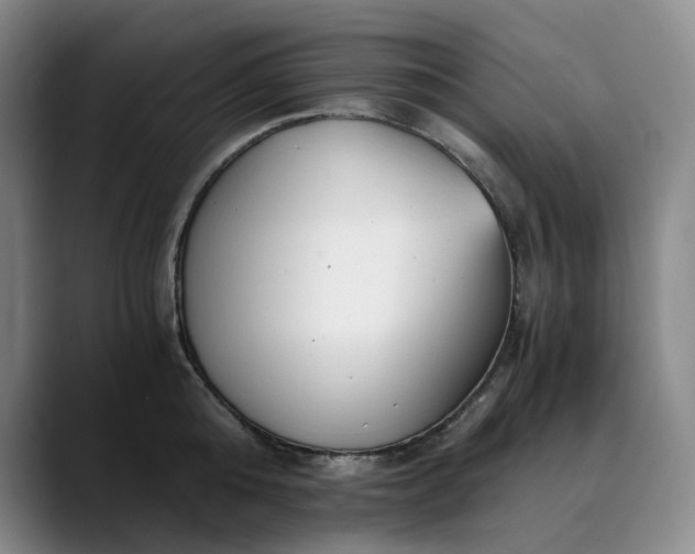 X0000089890808200707121830