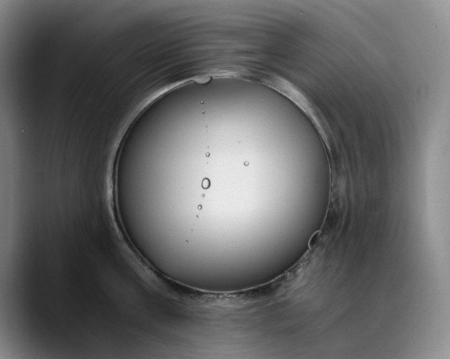 X0000089890811200707121830