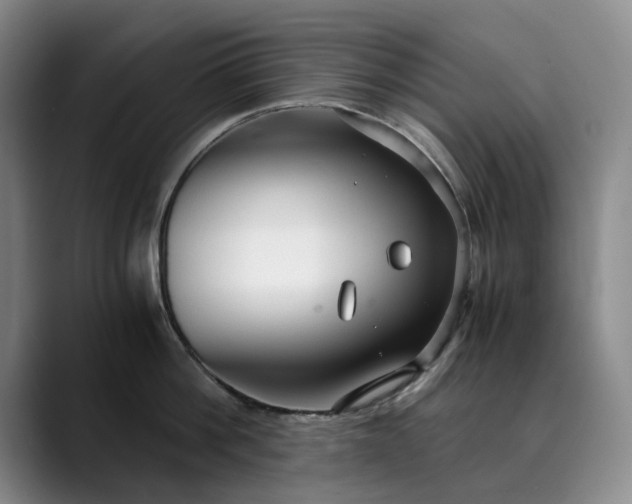 X0000089890812200707121830