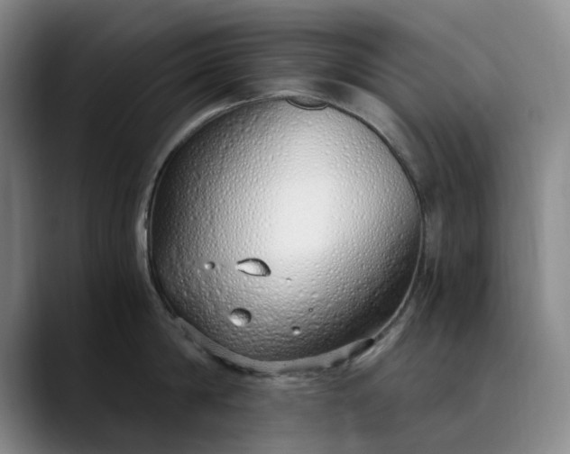 X0000089890814200707121830