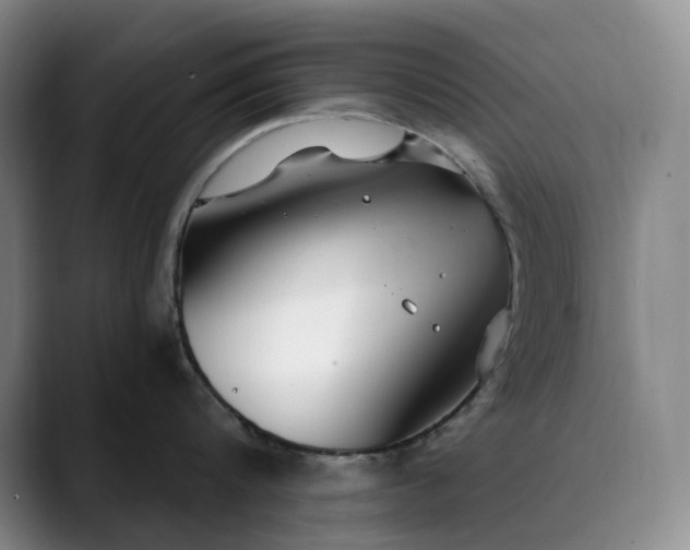 X0000089890816200707121830