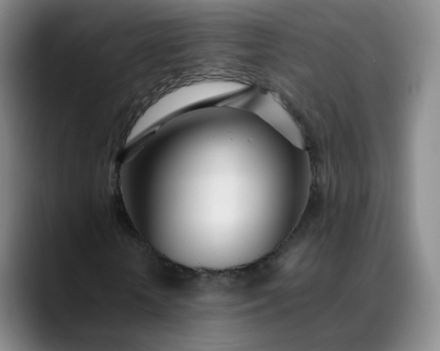 X0000089890818200707121829