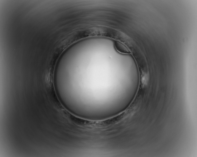 X0000089890819200707121829