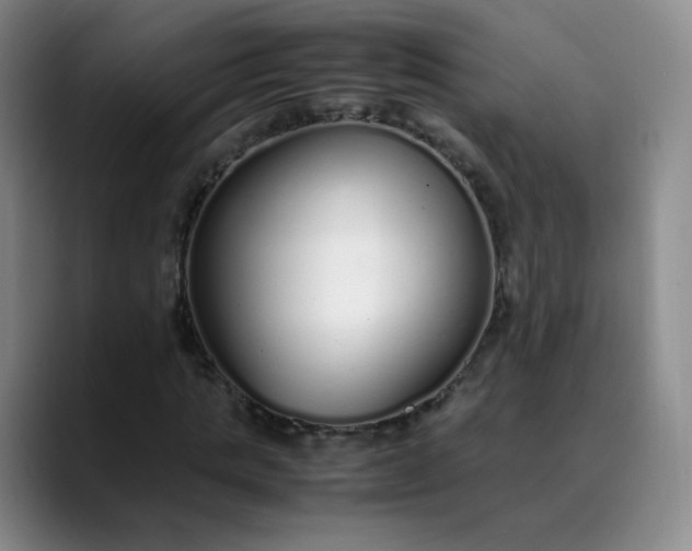 X0000089890821200707121829