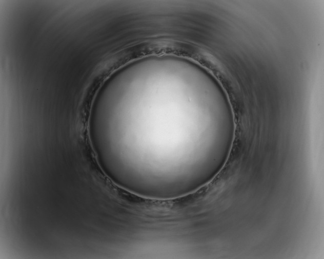 X0000089890823200707121829