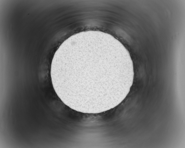 X0000089890824200707121829