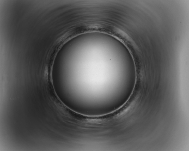 X0000089890825200707121829