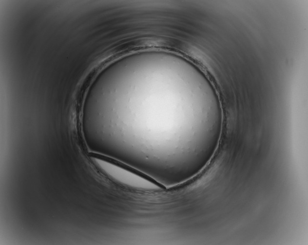 X0000089890827200707121829