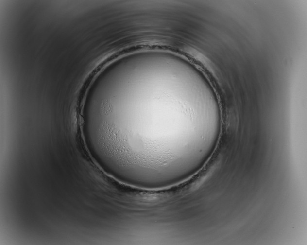 X0000089890829200707121829