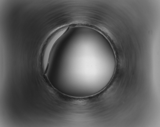 X0000089890830200707121829