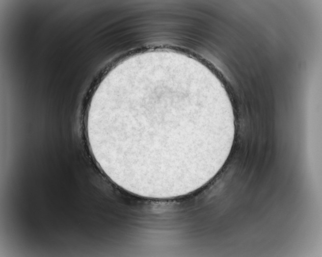 X0000089890832200707121829