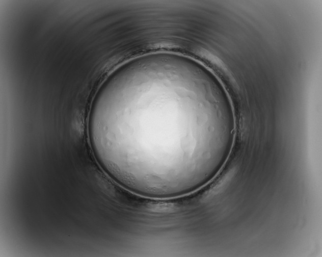 X0000089890833200707121829