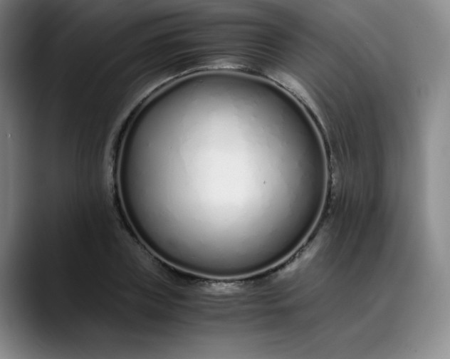 X0000089890835200707121829