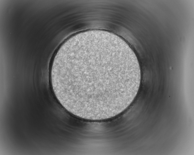 X0000089890836200707121829