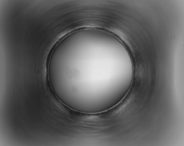 X0000089890837200707121829