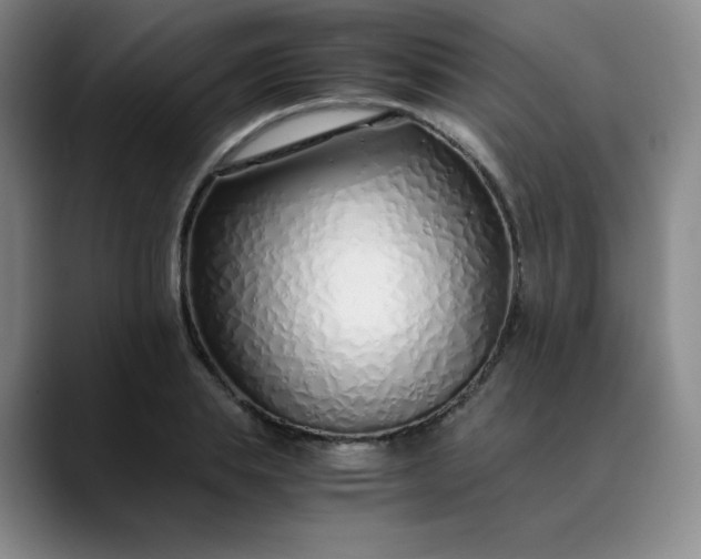 X0000089890839200707121829