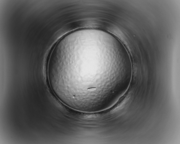 X0000089890843200707121830