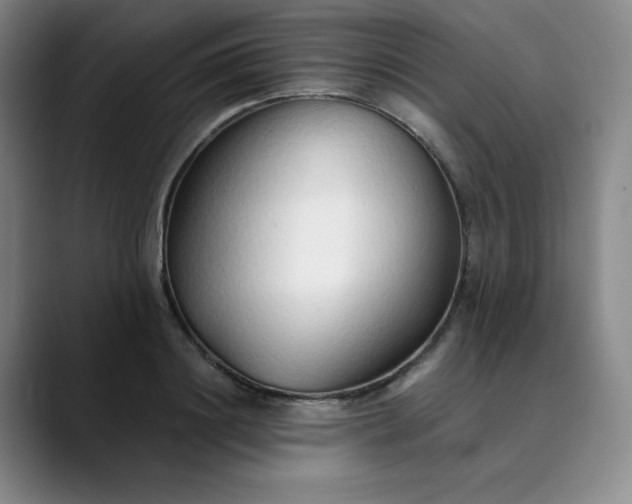 X0000089890844200707121830