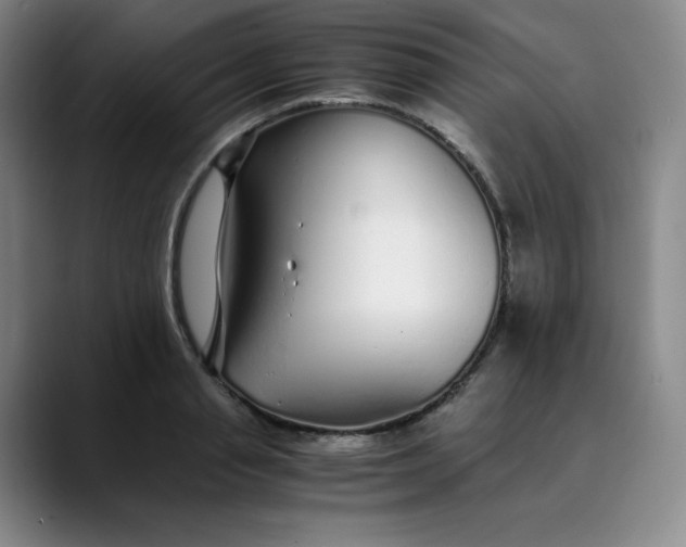 X0000089890845200707121830