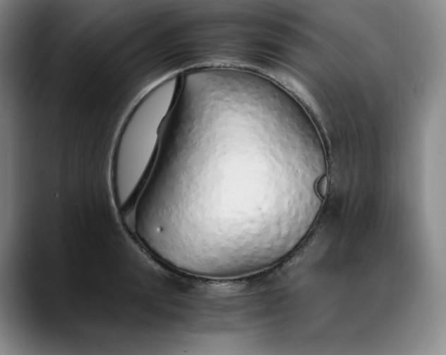 X0000089890847200707121830