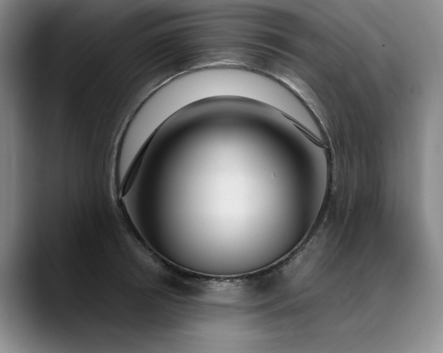 X0000089890850200707121830