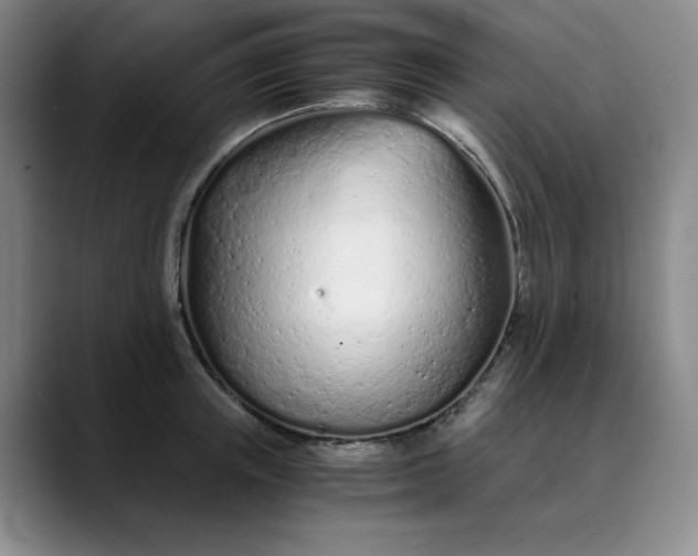 X0000089890851200707121830