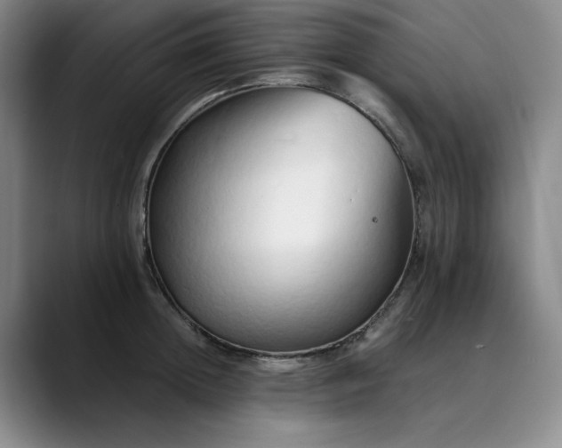 X0000089890852200707121830