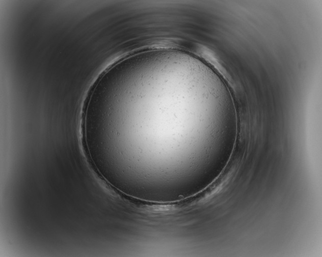 X0000089890853200707121830