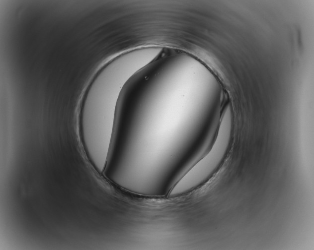 X0000089890854200707121830